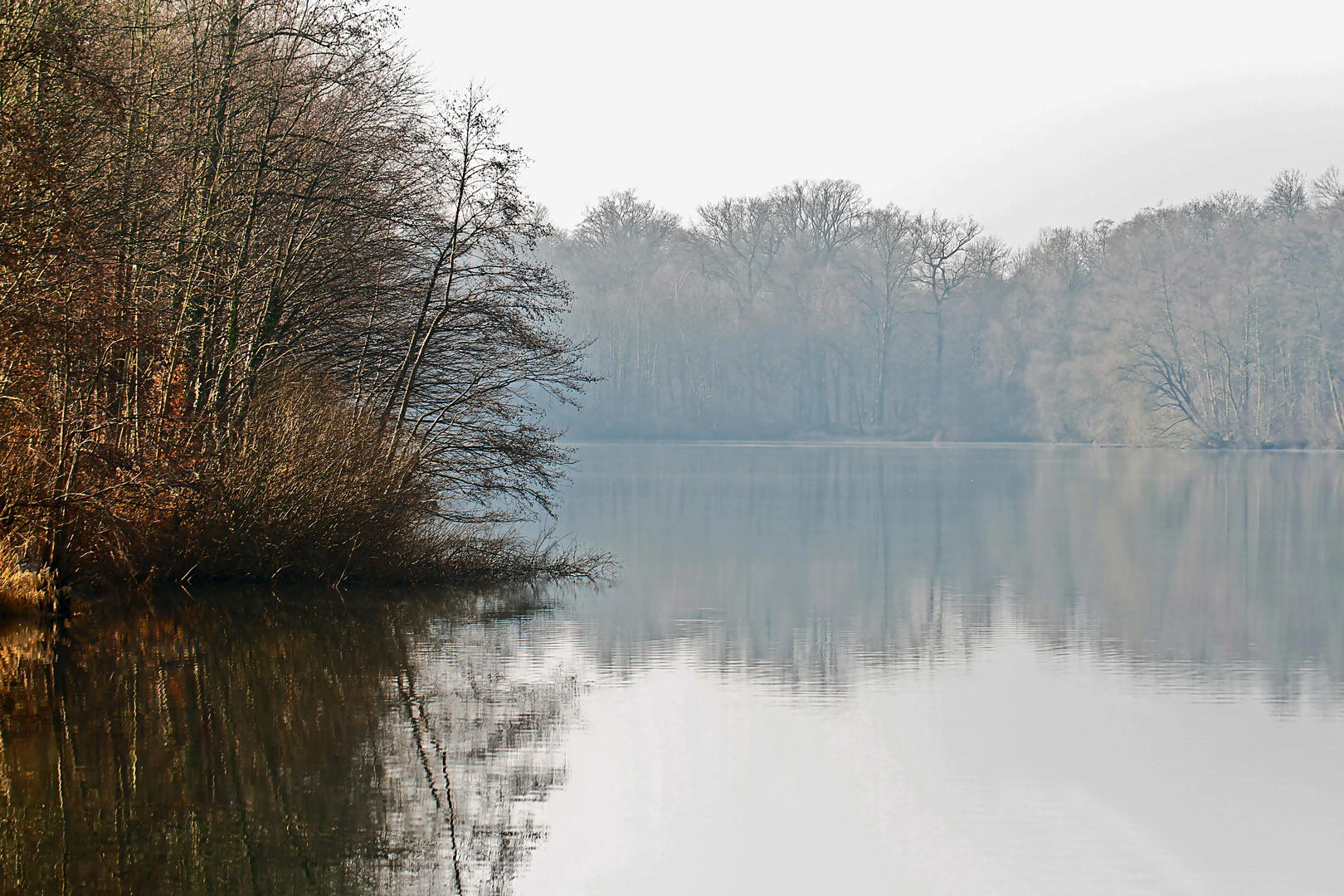 Der Nebel war....