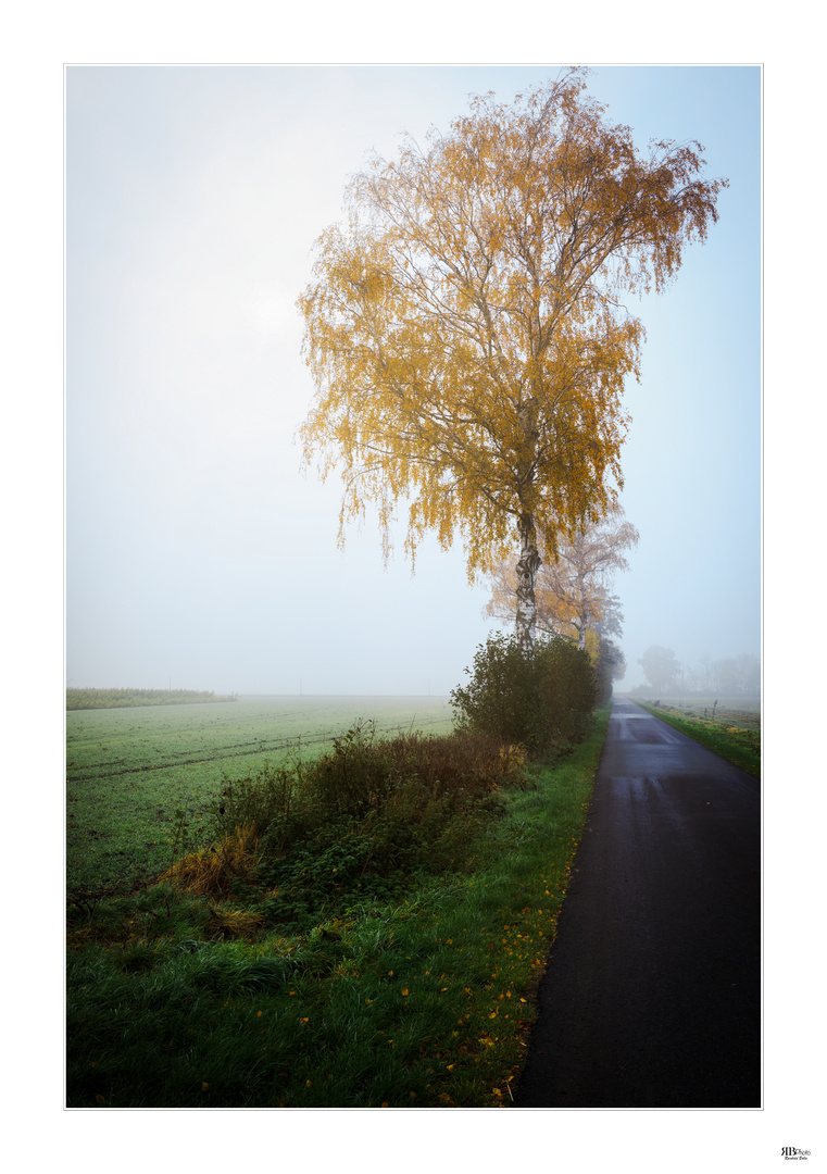 der Nebel weicht