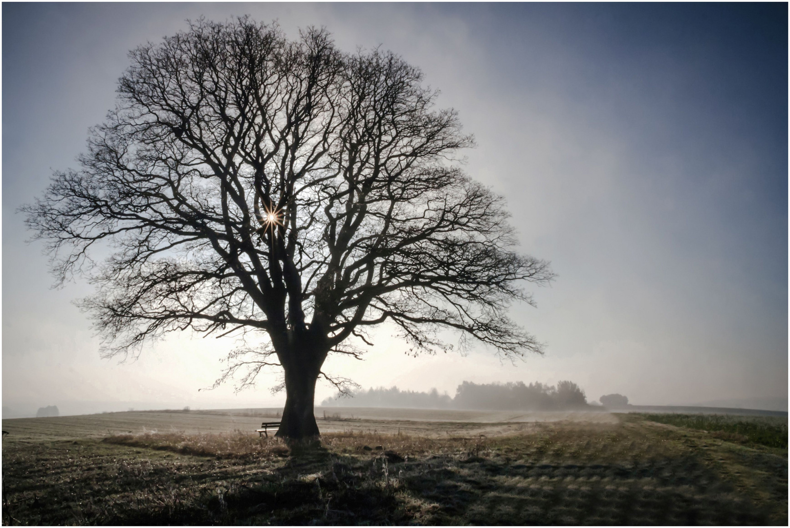 Der Nebel weicht