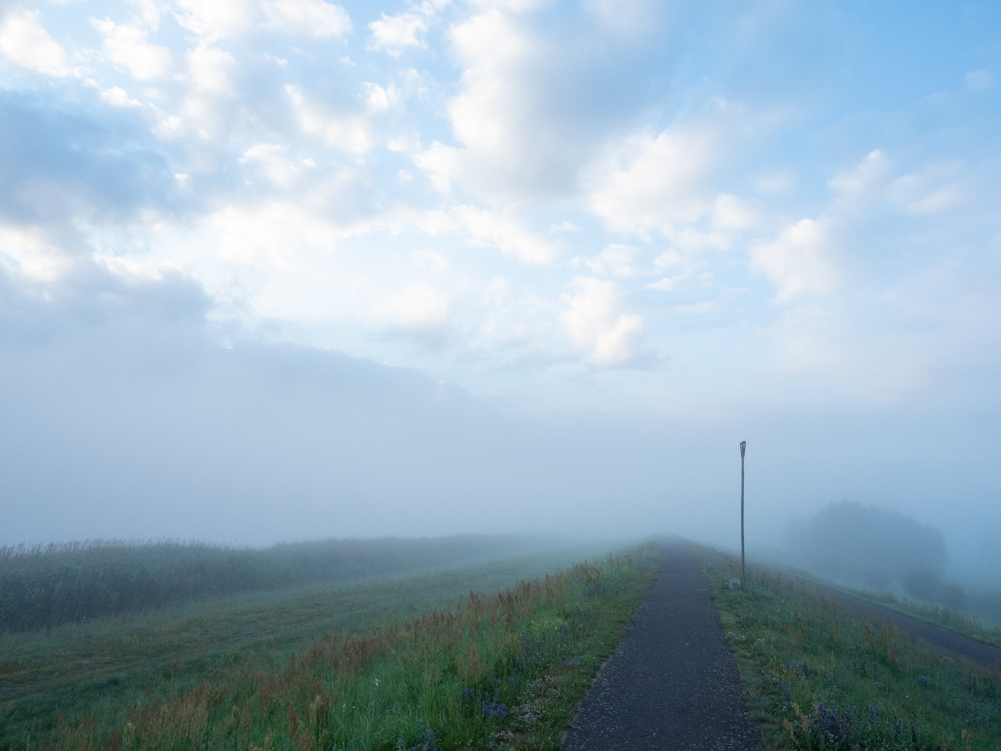 Der Nebel weicht