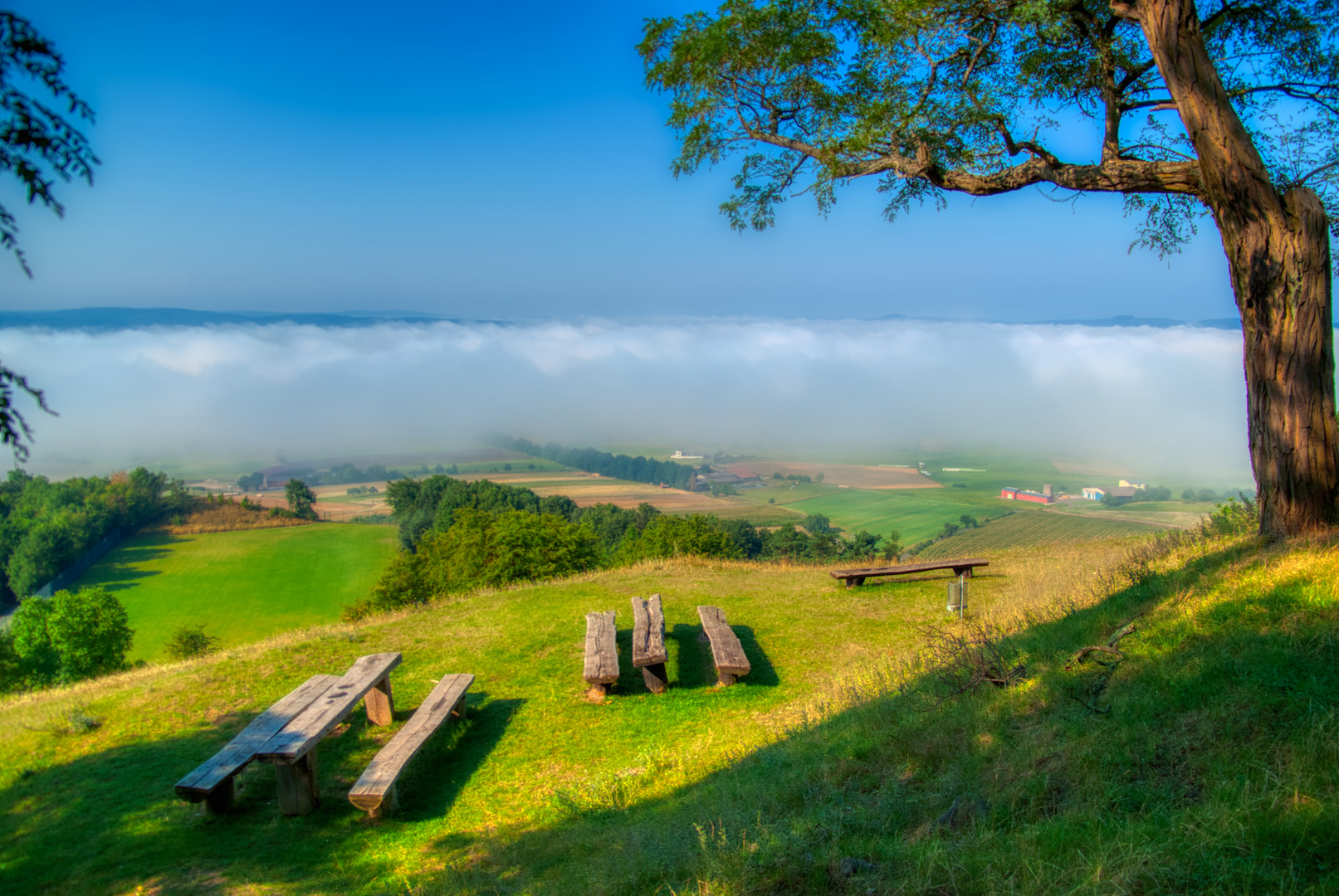 der Nebel weicht der Sonne