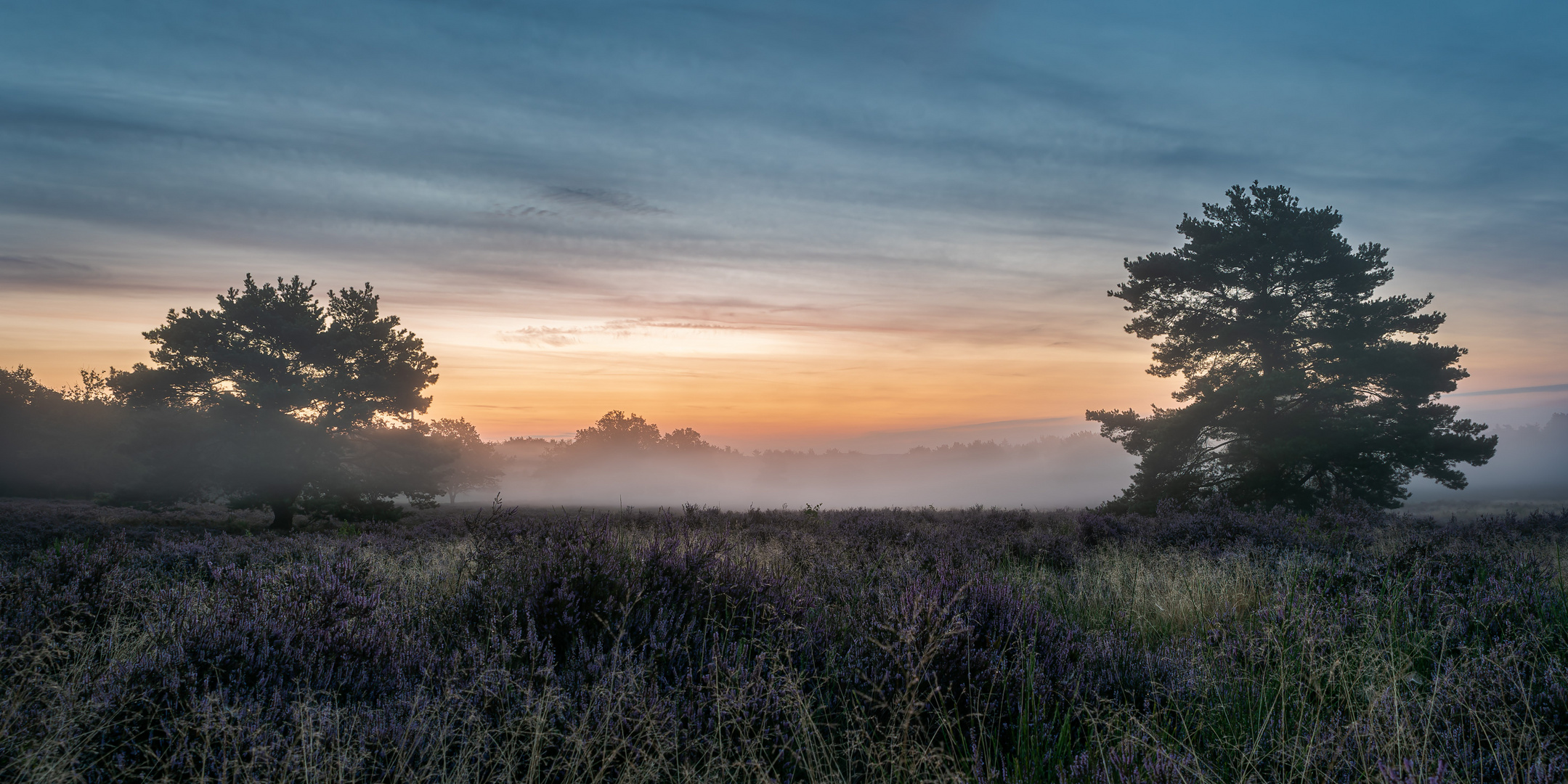 Der Nebel weicht