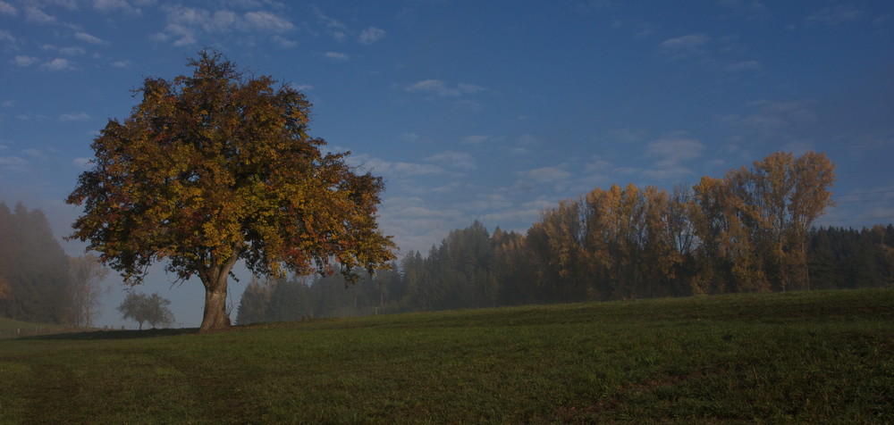 Der Nebel weicht nur langsam