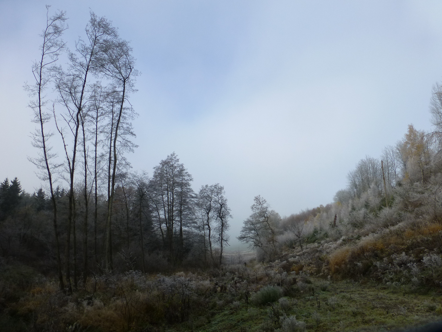 Der Nebel wird verdrängt