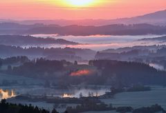 der Nebel wird wach geküsst