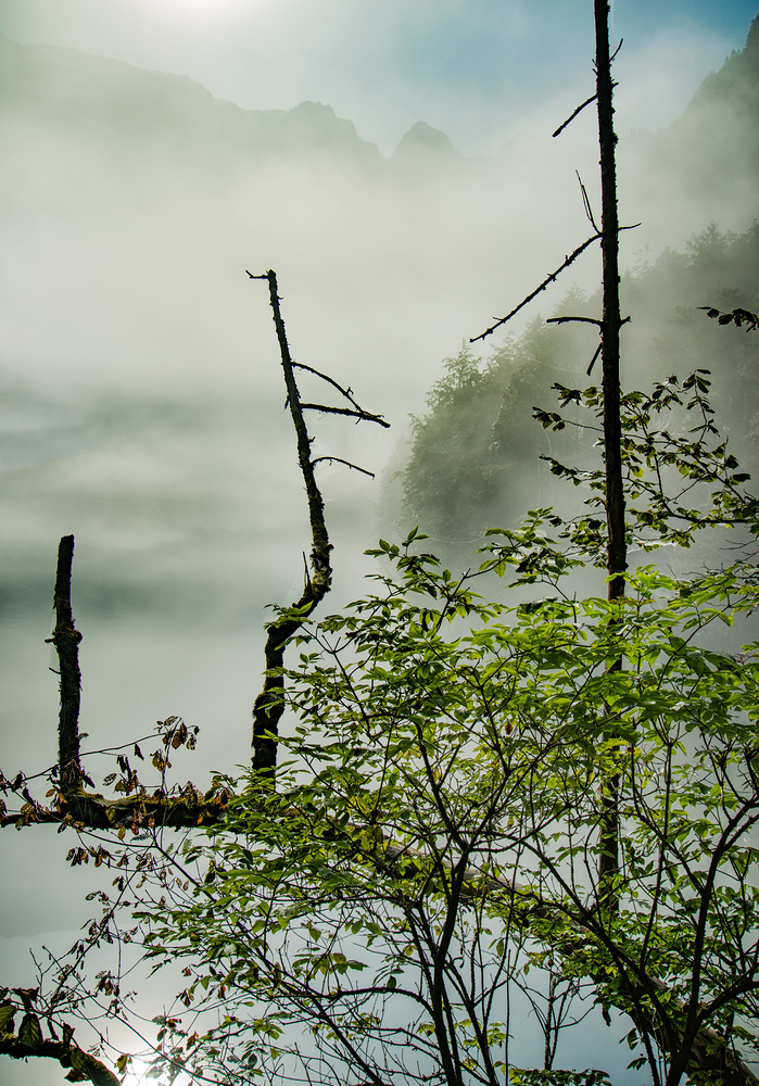 der Nebel wird weichen