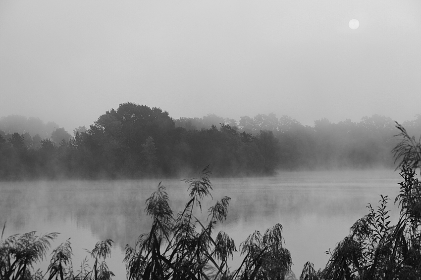 Der Nebel zieht...