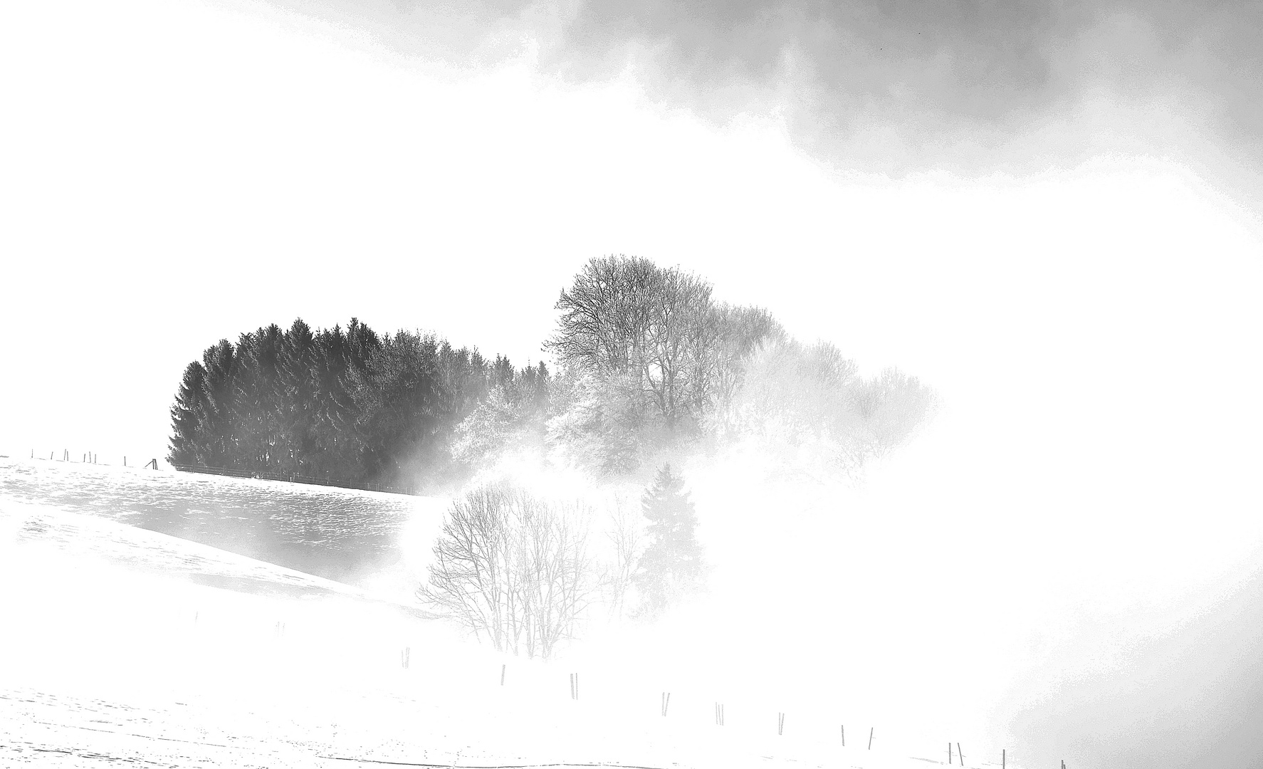 Der Nebel zieht ab-Allgäu