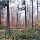 Der Nebel zieht durch die herbstlichen Wälder 