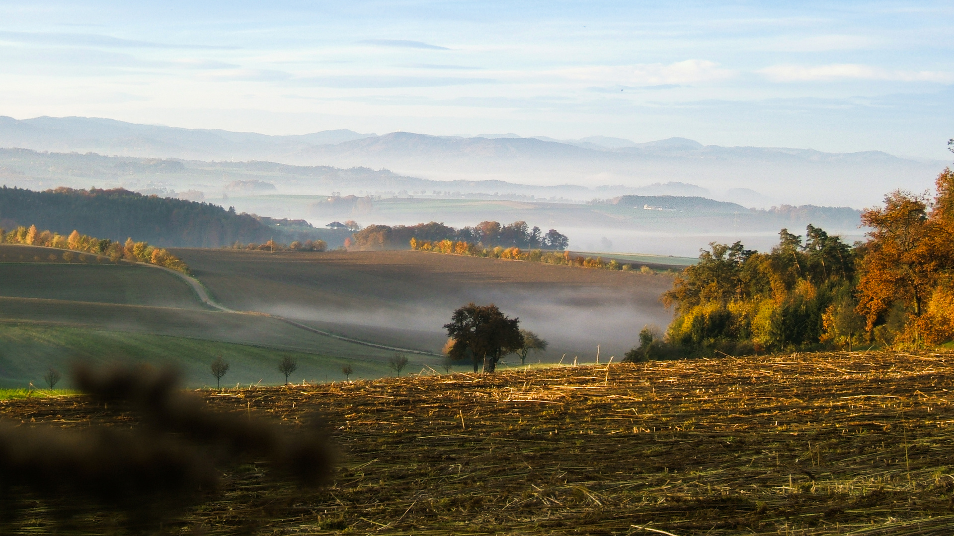 der Nebel zieht ins Land