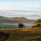 der Nebel zieht ins Land