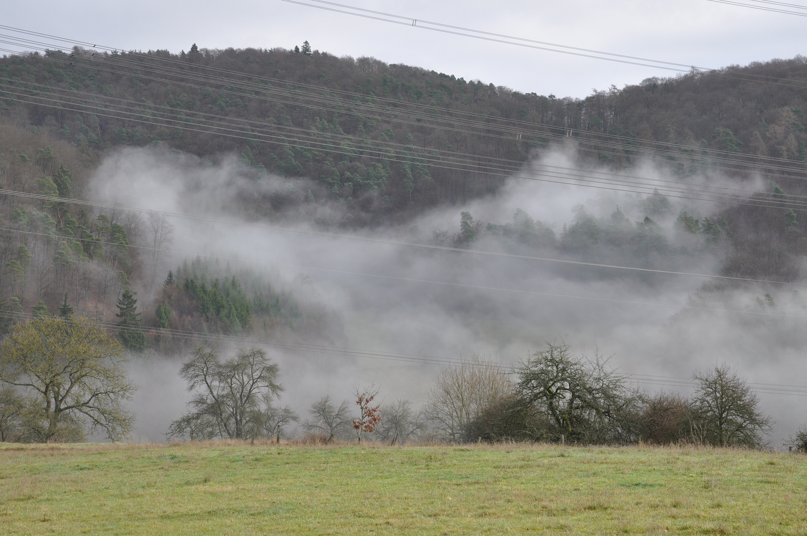 Der Nebel zieht umher