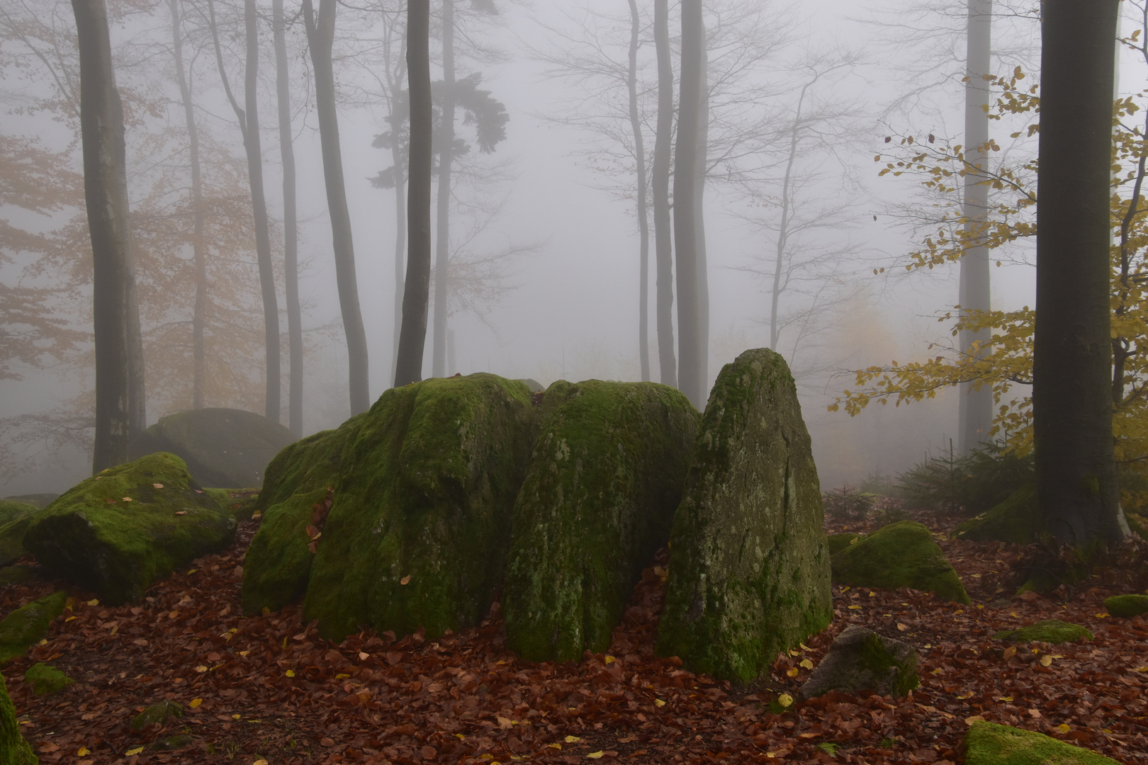 Der nebelige "" ODENWALD"" 