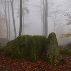 Der nebelige "" ODENWALD"" 