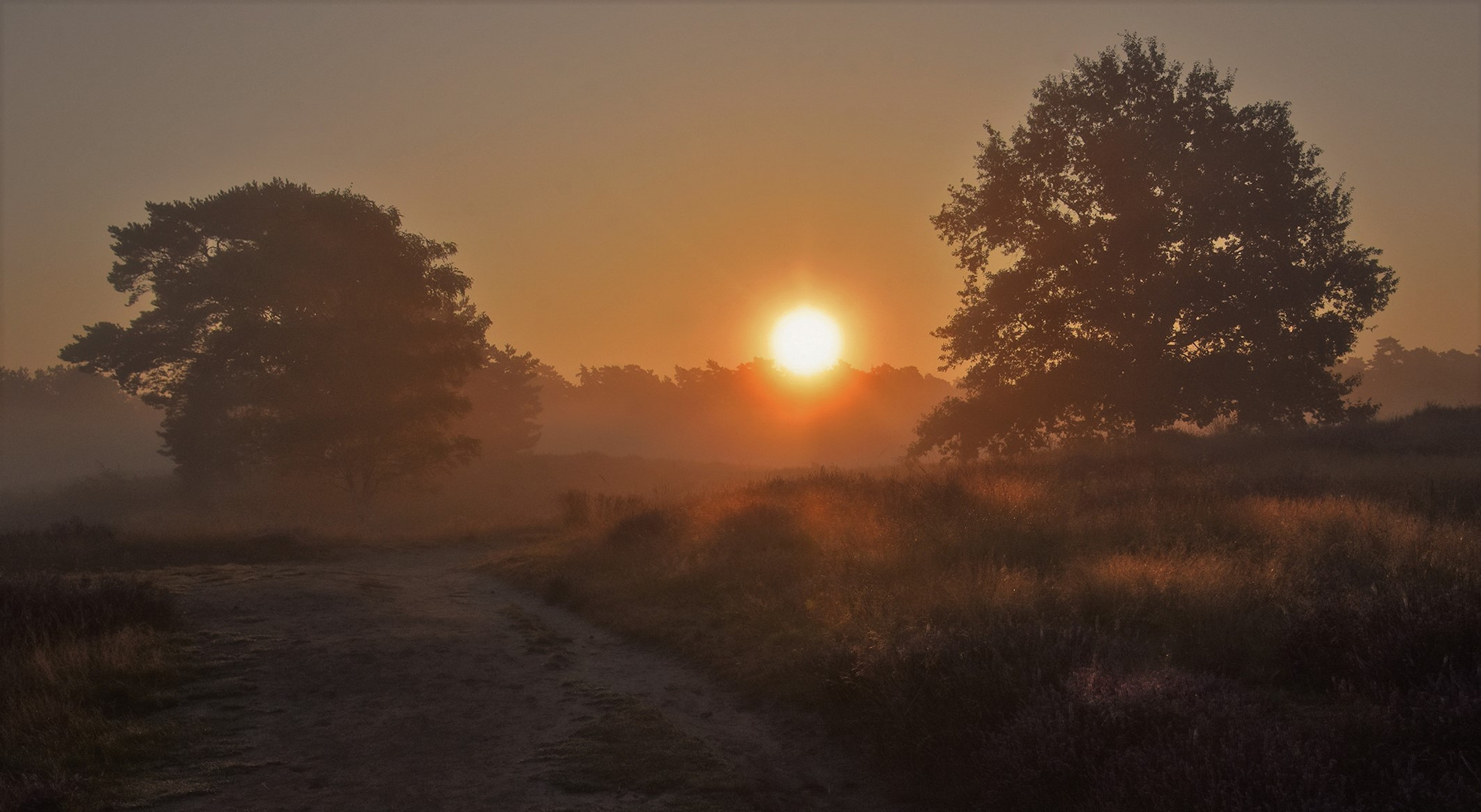 Der nebelige Sonnenaufgang.....