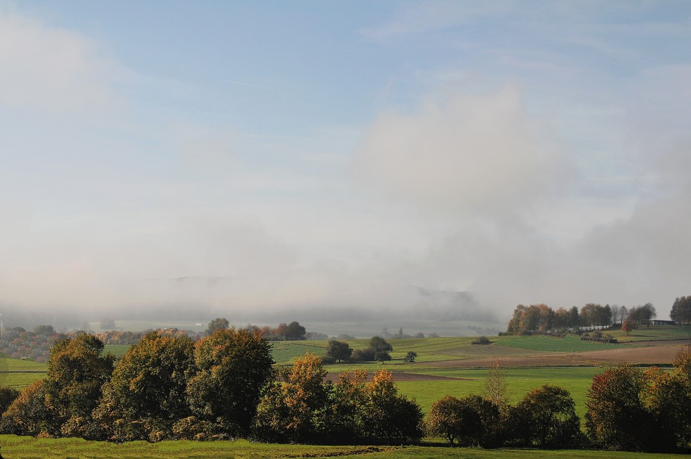 Der Nebel(morgens fruh)