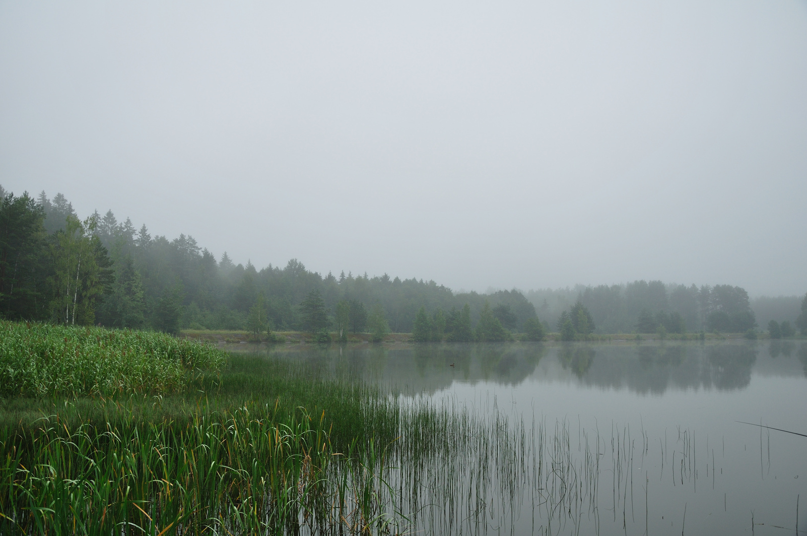 der Nebelsee