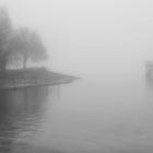 Der Nebelsee