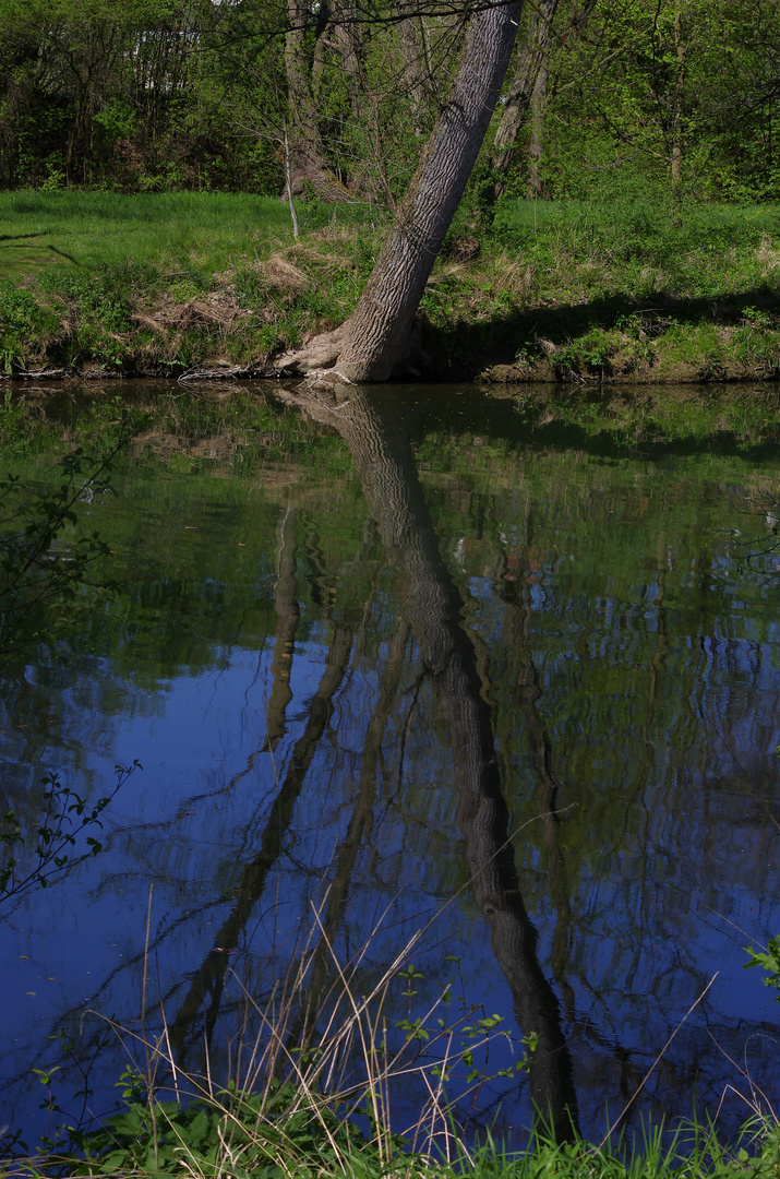 der Neckar