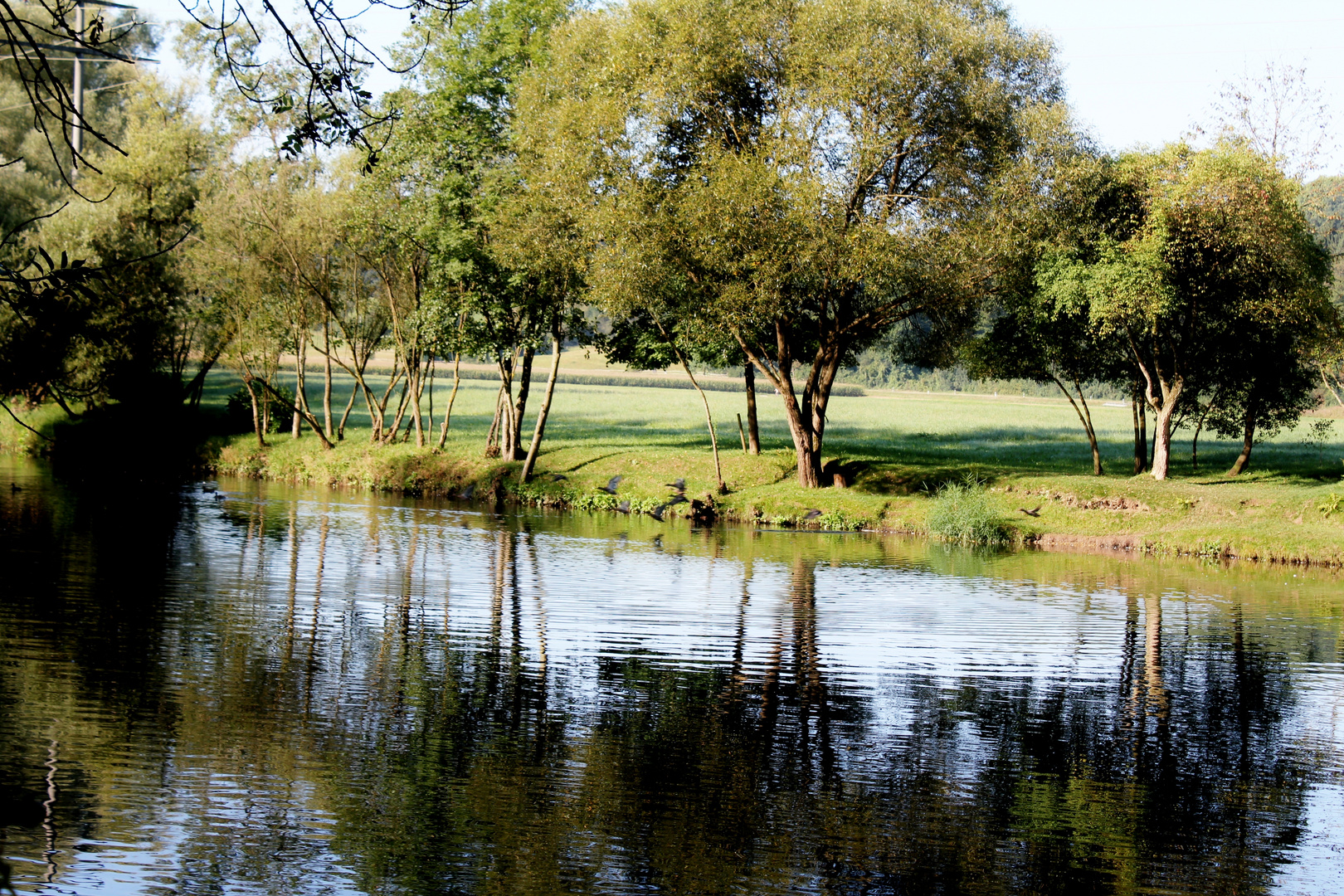 der Neckar als Spiegel