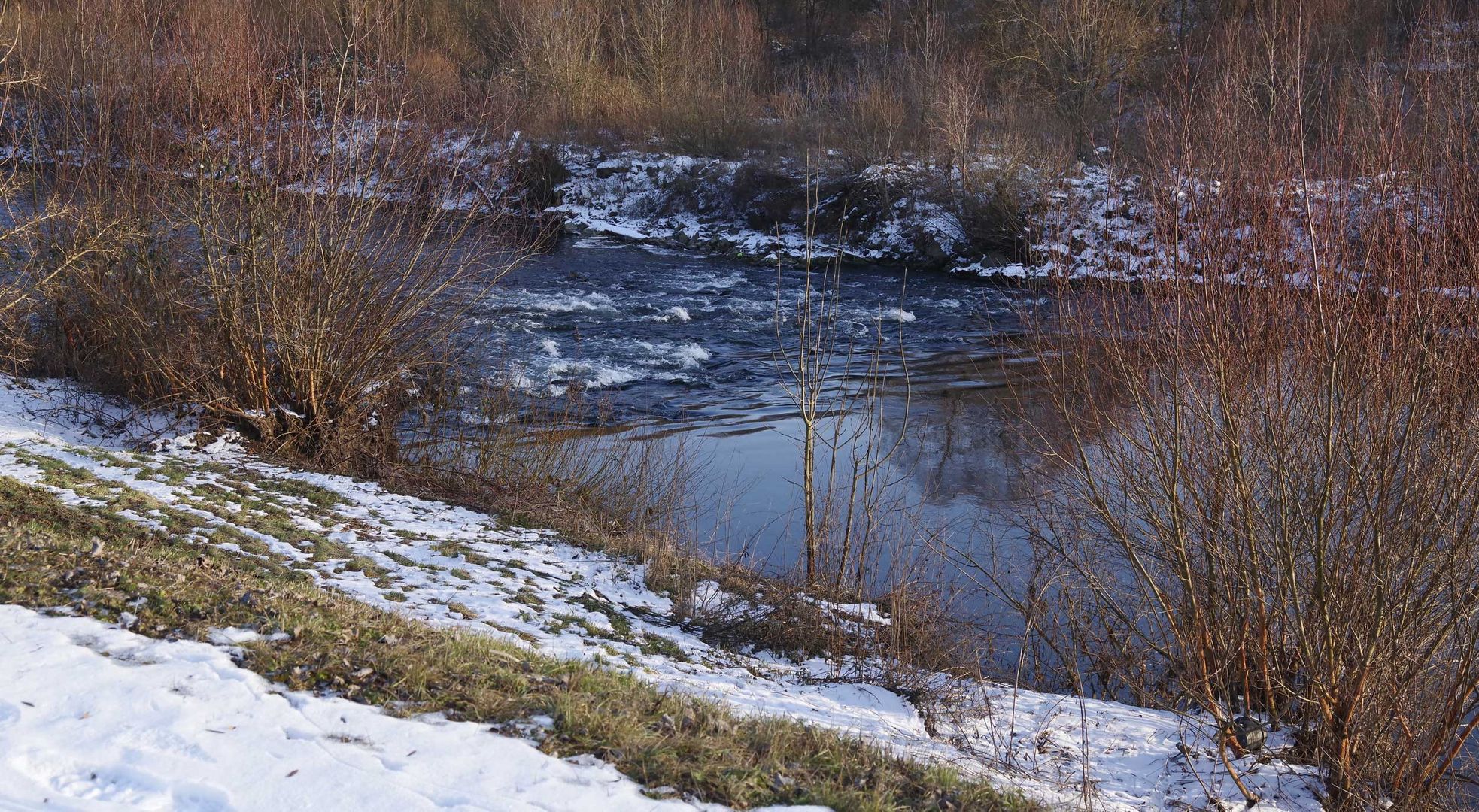 der Neckar am Biotop