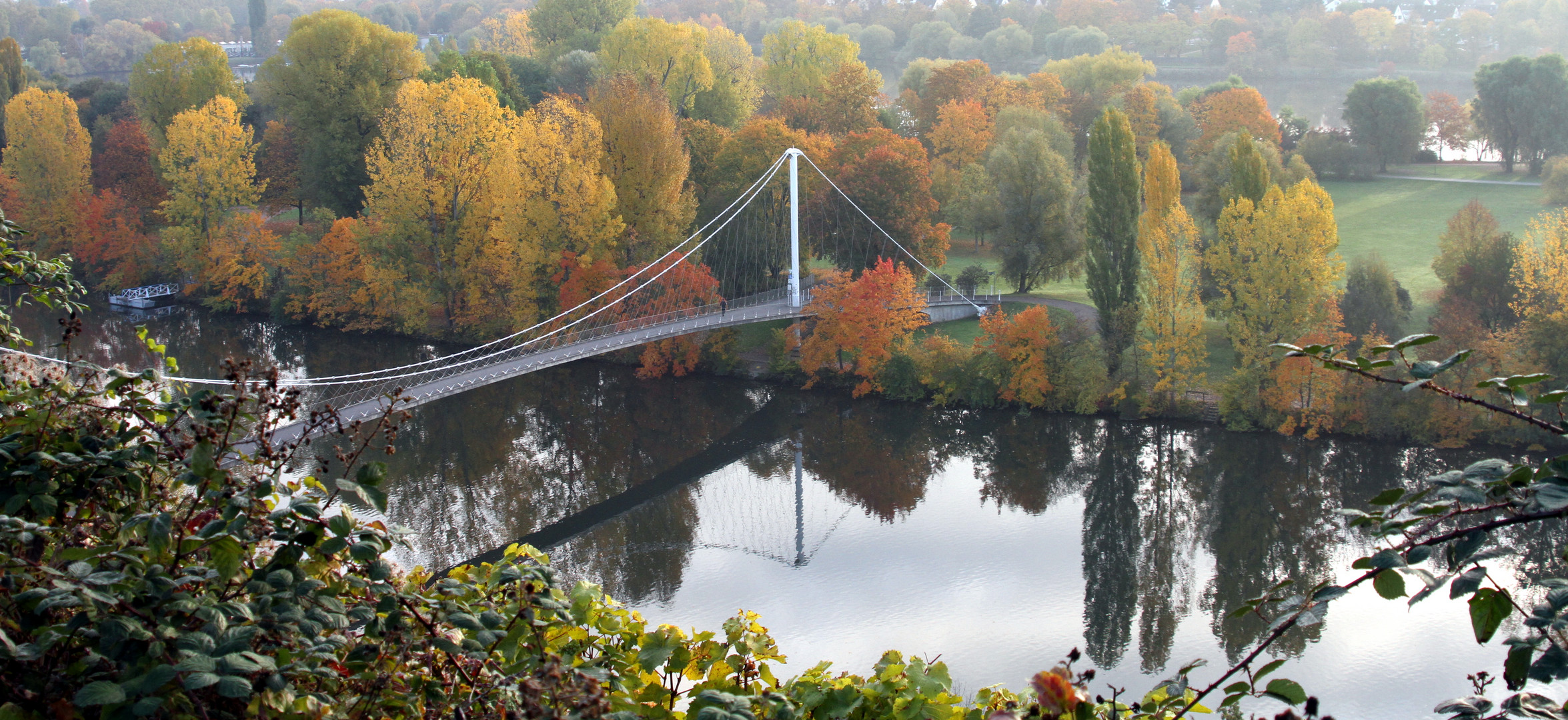 Der Neckar am Morgen