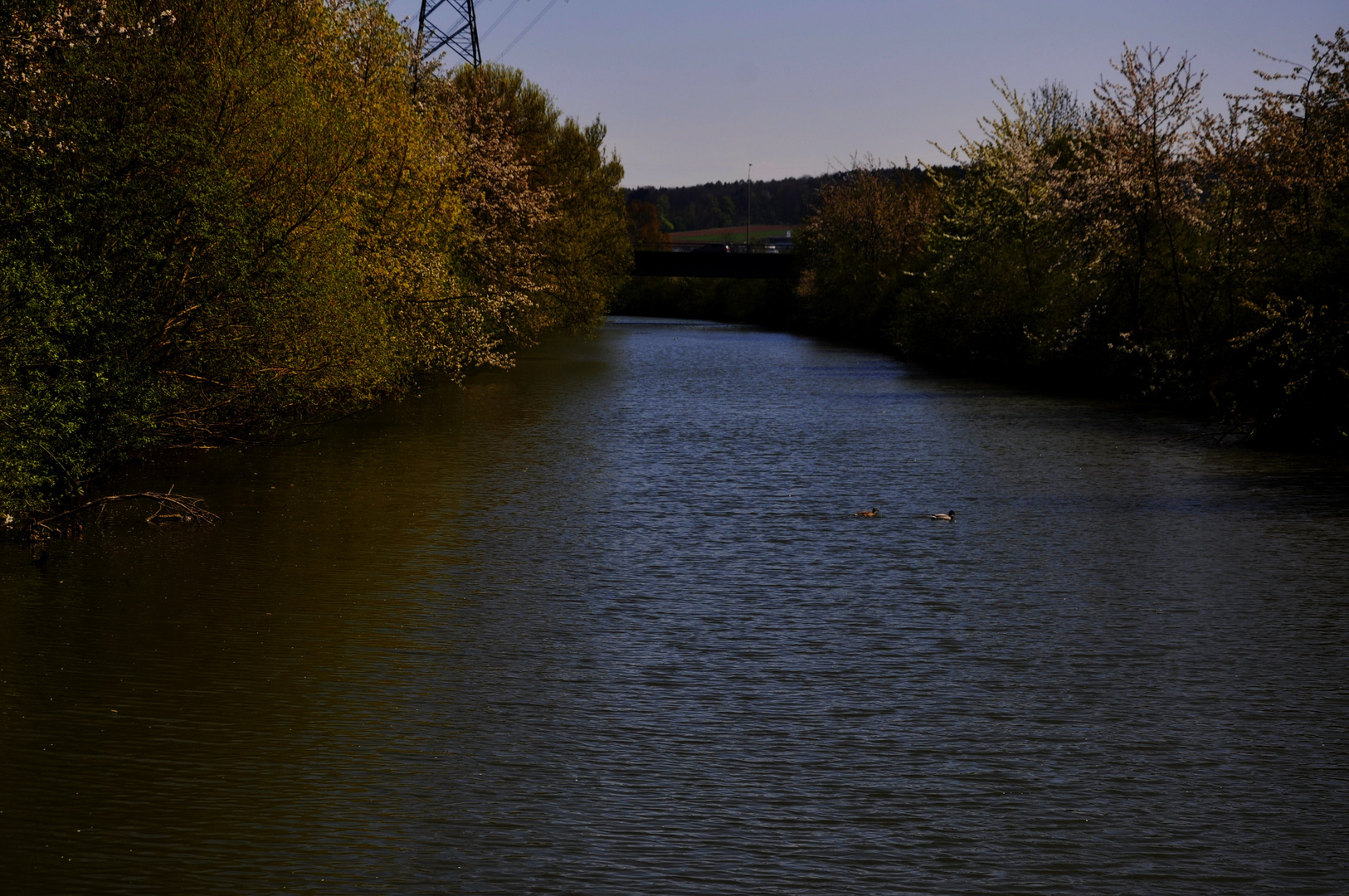 Der Neckar bahnt sich seinen Weg in den Frühling