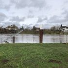 Der Neckar bei Bad Wimpfen. Hochwasser