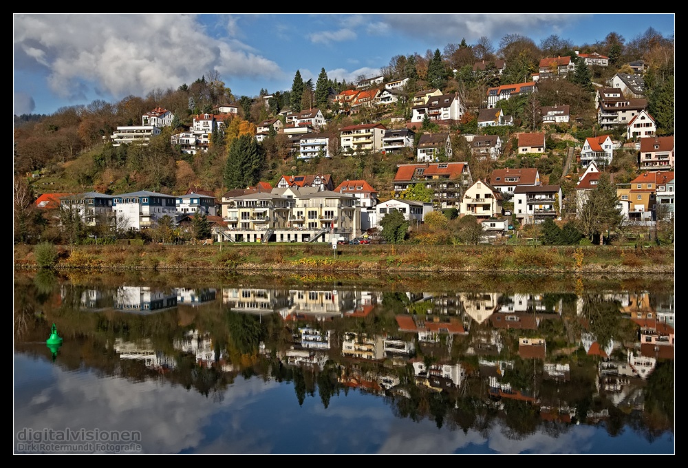 Der Neckar bei Heidelberg