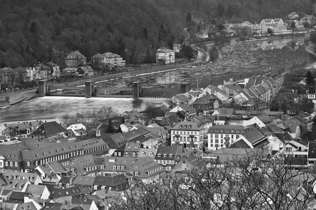 Der Neckar bei Heidelberg fließt wieder