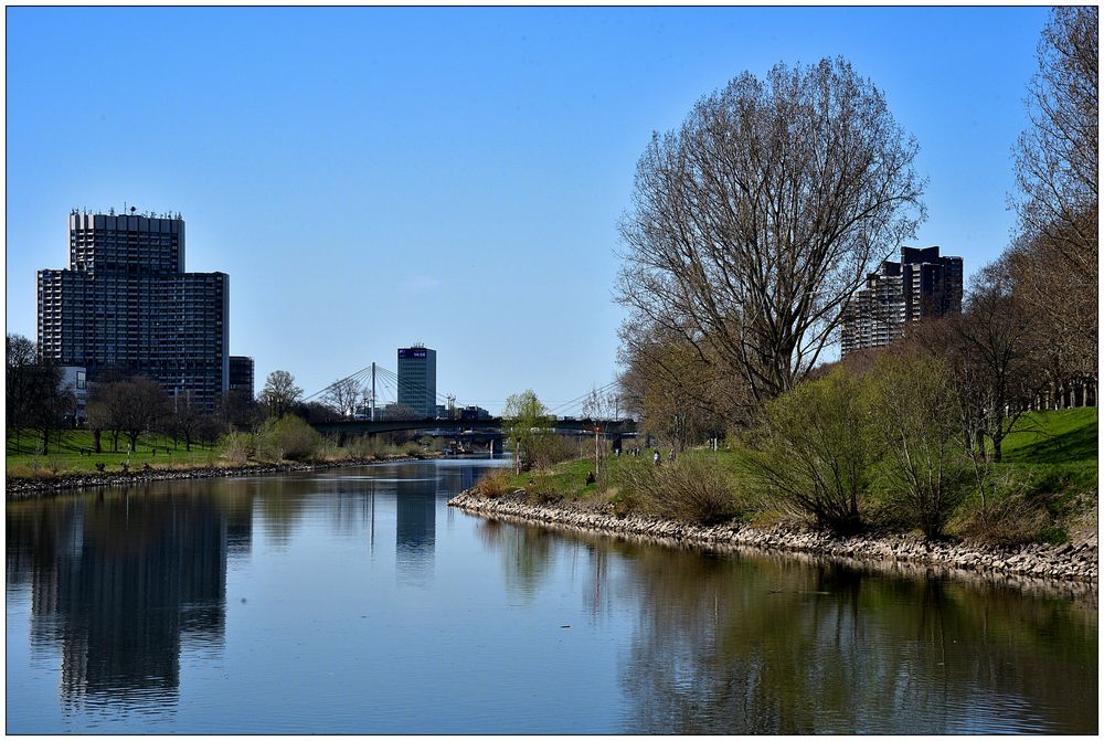 Der Neckar bei Mannheim