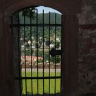 Der Neckar hinter Gittern