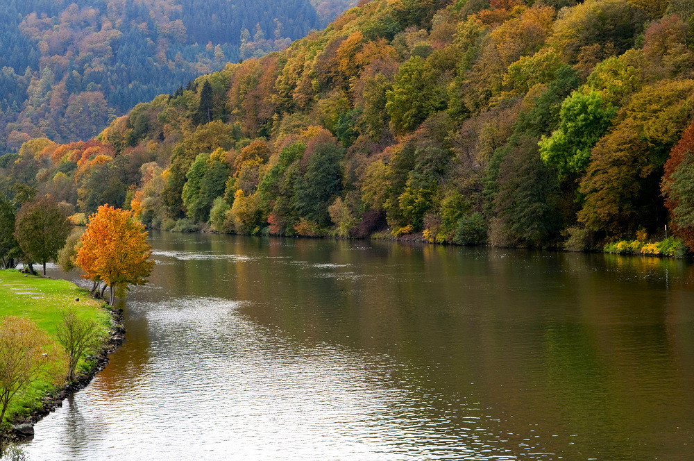 Der Neckar im Herbst 2009