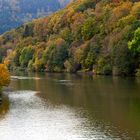 Der Neckar im Herbst 2009