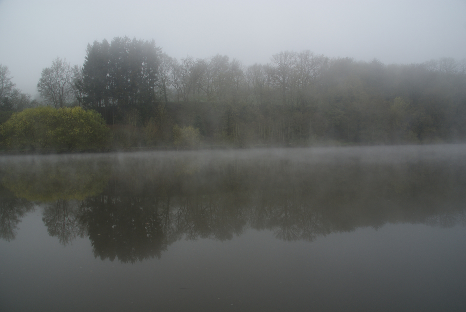 Der Neckar im Nebel