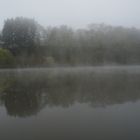 Der Neckar im Nebel