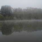 Der Neckar im Nebel