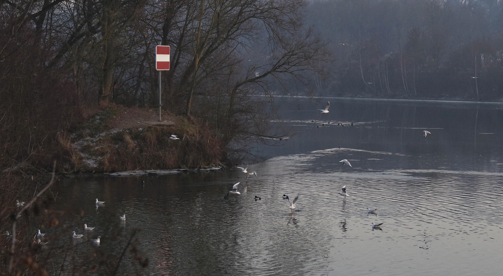 der Neckar im Winter 2017...5