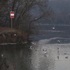 der Neckar im Winter 2017...5