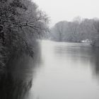 der Neckar im  Winter