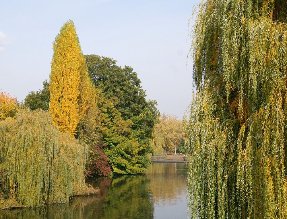 der Neckar in der Stadt Heilbronn