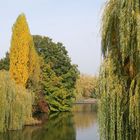 der Neckar in der Stadt Heilbronn