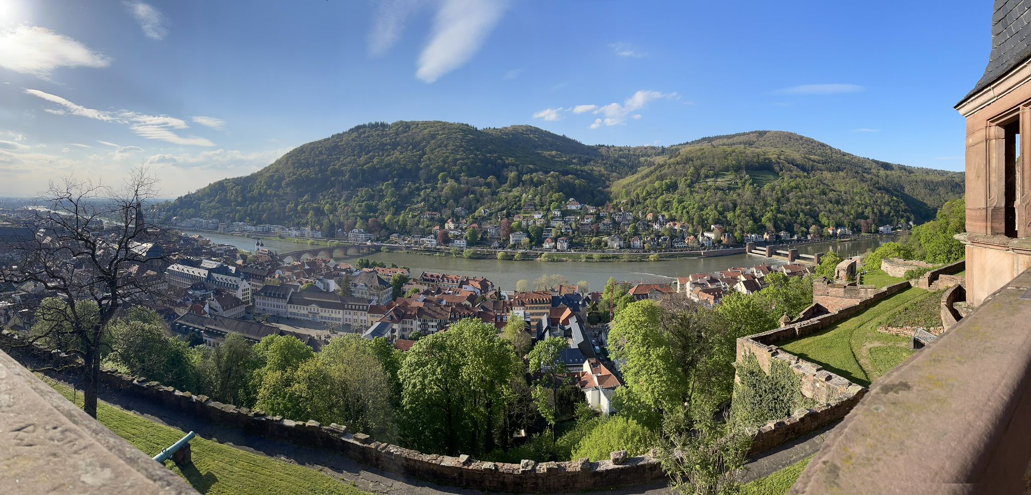 Der Neckar in Heidelberg 