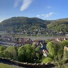 Der Neckar in Heidelberg 