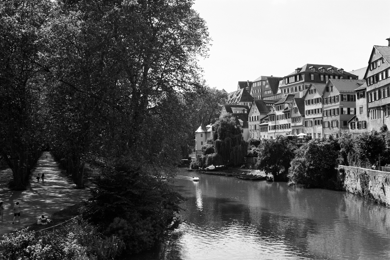 Der Neckar in Tübingen mit Hölderlinturm