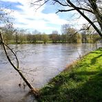 Der Neckar zwischen Mittelstadt und Pliezhausen