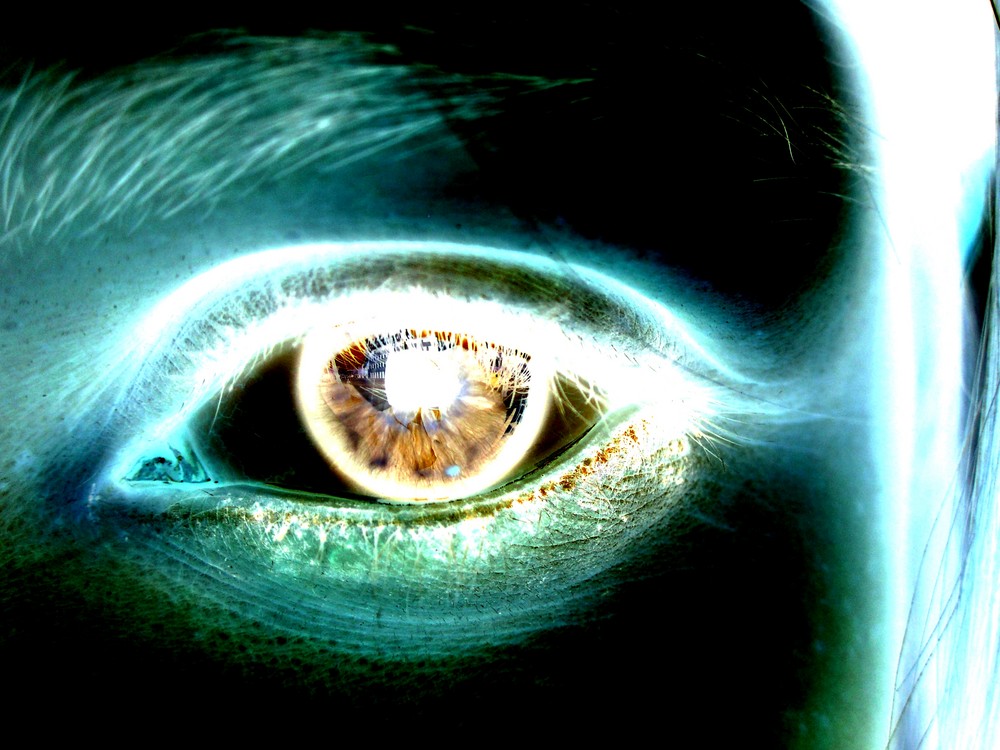 Negativ Bilder: Entdecke die Macht des Gegenteils