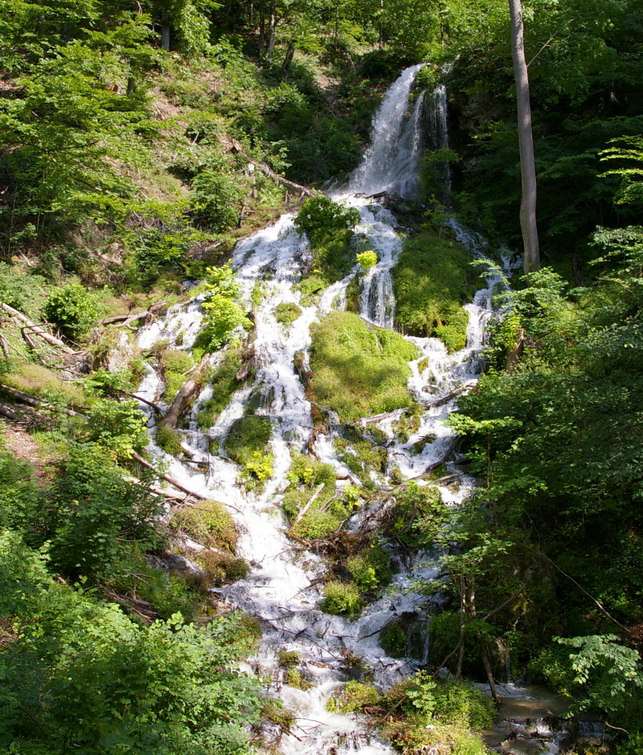 Der Neidlinger Wasserfall