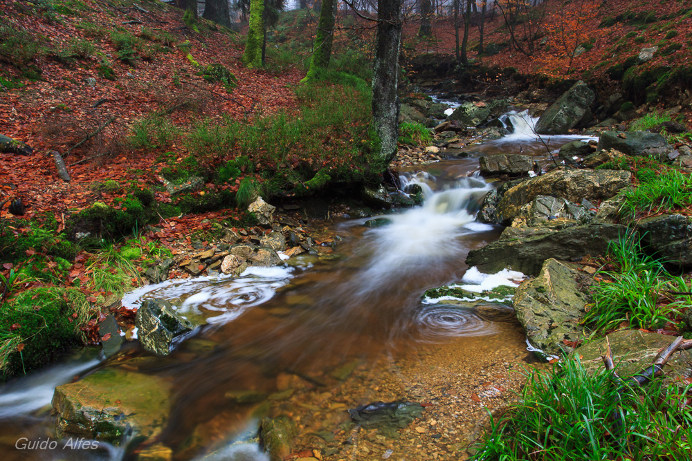 Der nette kleine Moorbach