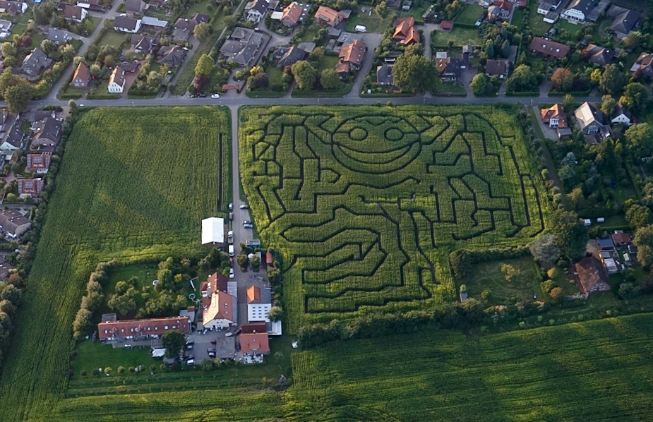 Der nette Mais (Luftbild, aerial)